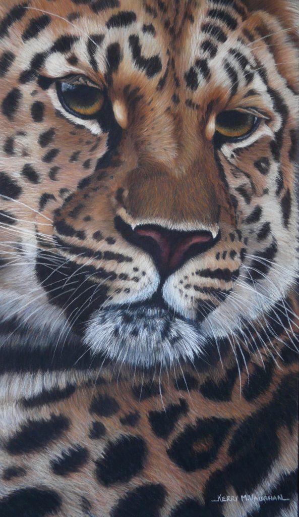 Leopard portrait