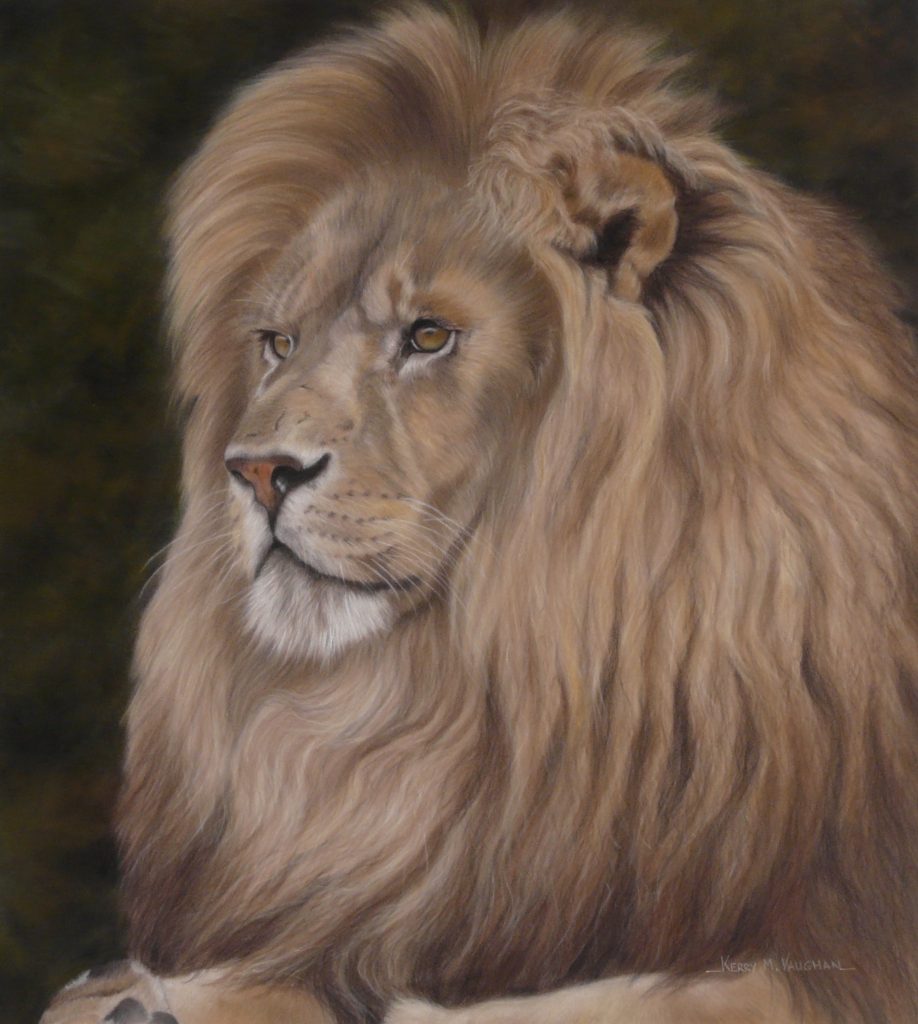 pastel portrait of lion
