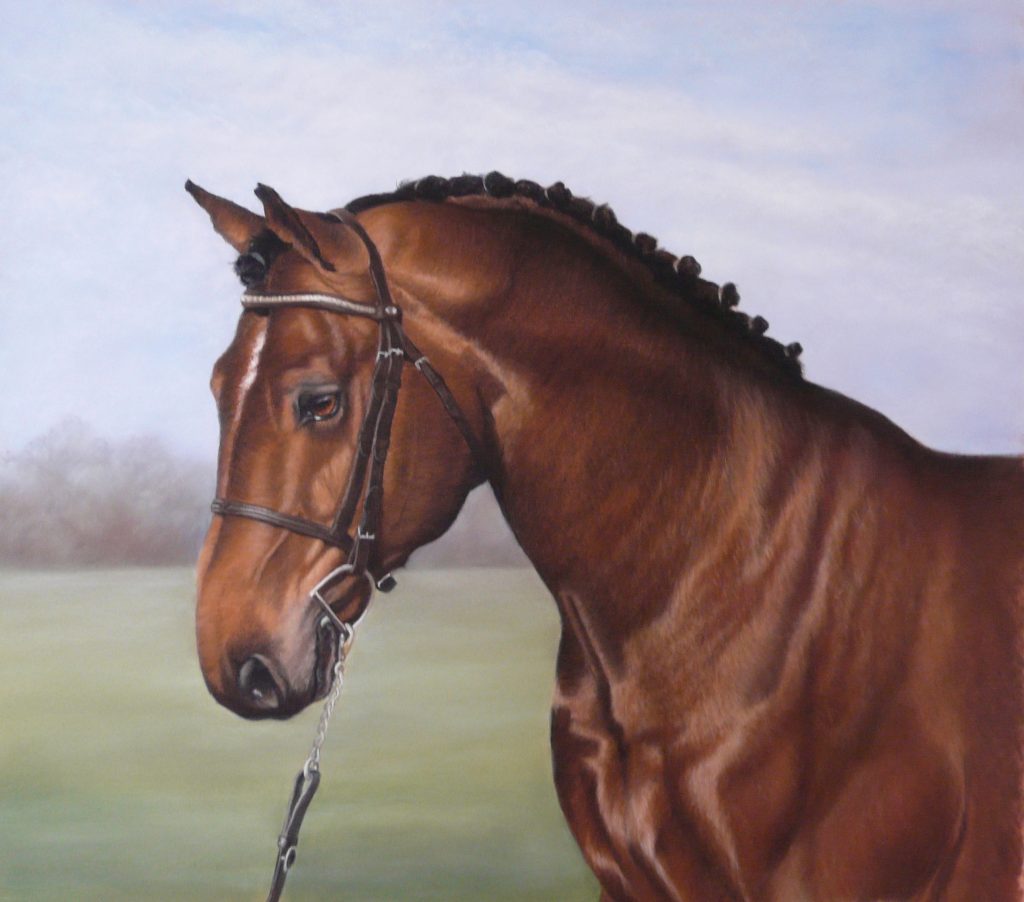 horse portrait