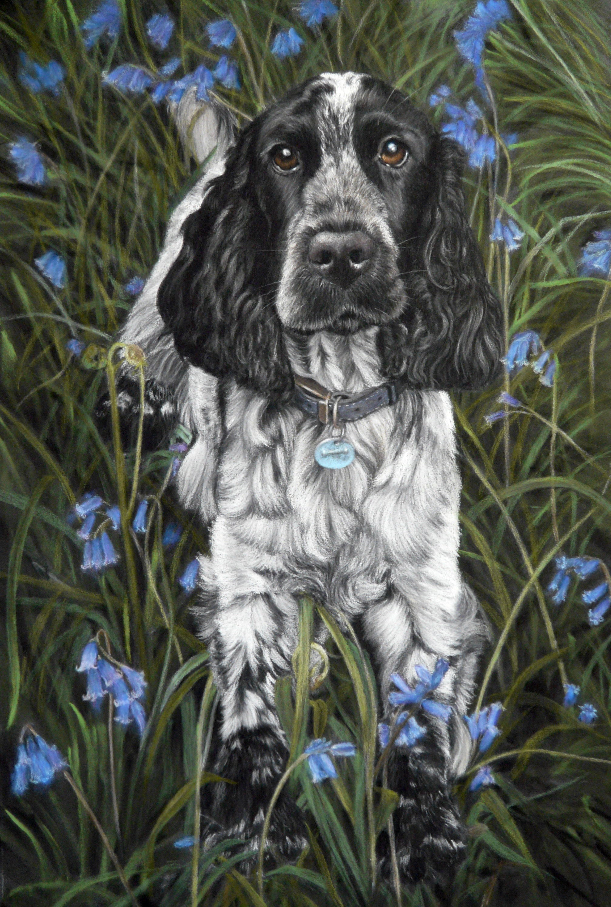 pastel dog portrait