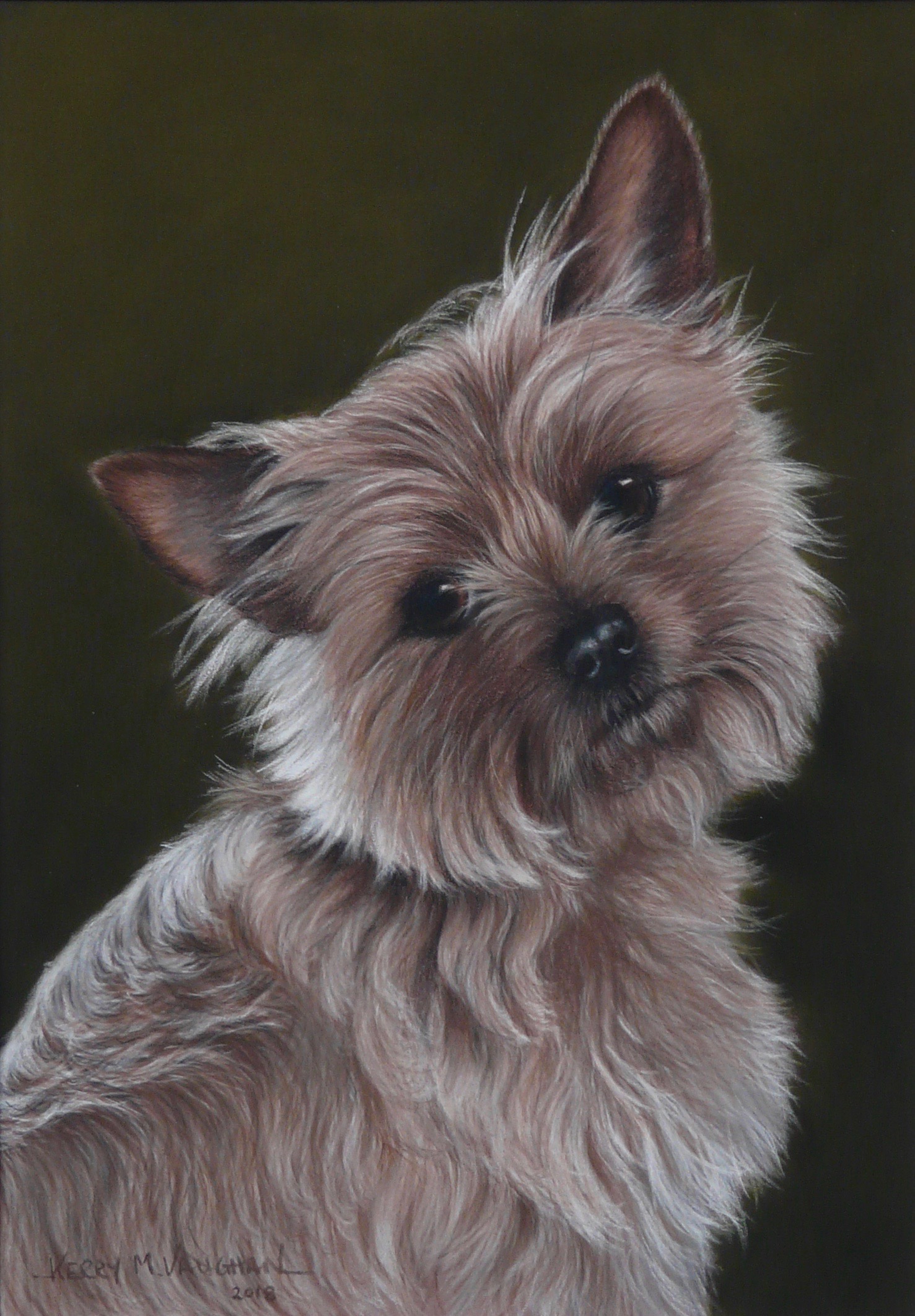 dog portrait